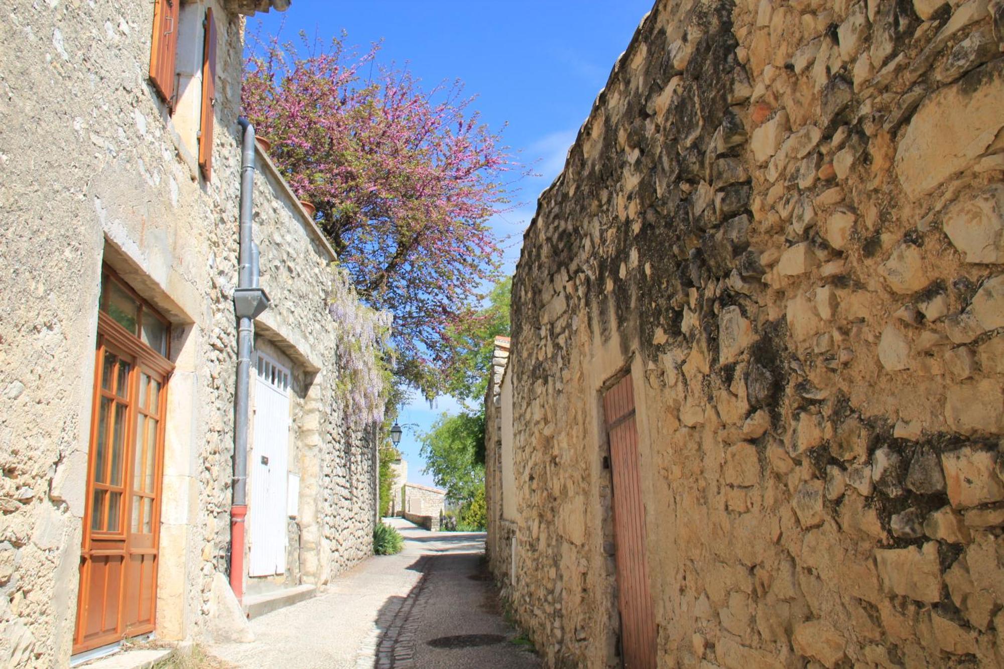 La Colombiere - Vue Imprenable Sur L'Ardeche - Tres Calme - Tres Bien Situe - Residence Privee Монтелимар Экстерьер фото